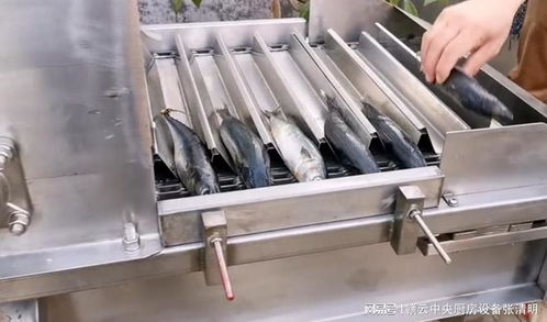 大型鱼丸加工设备全自动鱼类水产深加工机器