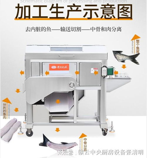 大型鱼丸加工设备全自动鱼类水产深加工机器