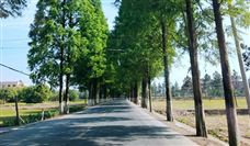 再度发力！山推3D摊铺助力河北省道高速改建！