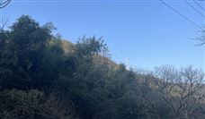 浙江扎实推进农村通信管线序化 完成清废杆1.5万处