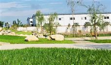 政策解读|青岛市绿色制造单位梯度培育及管理实施细则(暂行)