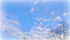 震裕科技Q3利润大增，拟21亿元加码机器人等项目